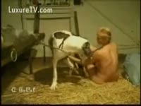 [ Zoophilia Sex ] Short haired slut acquires bawdy cleft pounding from horny dog